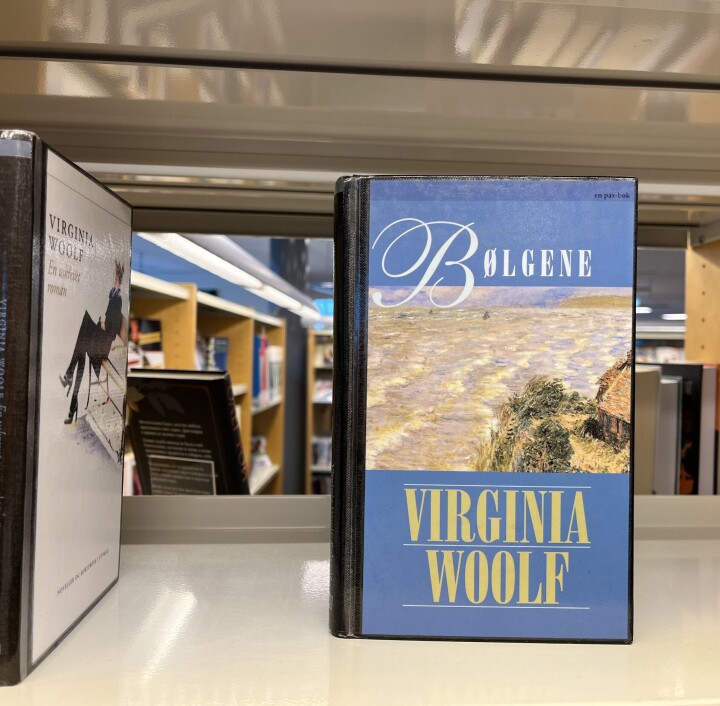 ANBEFALES: Denne ukens boktips er «Bølgene» av Virginia Woolf.