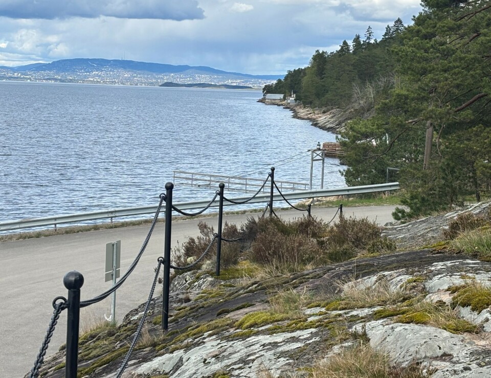 SIKRING: Bålerud Grunneierforening søkte om midler til å sikre fjellknausen ved statuen av Roald Amundsen.