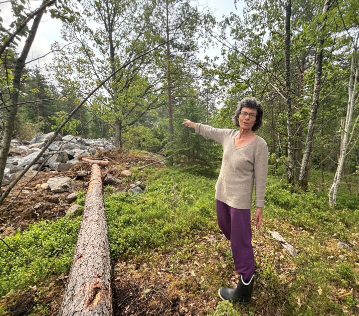 SVARTSKOG: Nabo Lise Ferner peker på et av områdene hvor natur må vike for utbygging dersom vedtak blir stående.