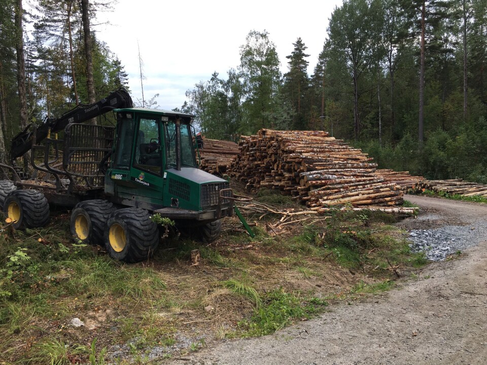 STORE MASKINER: Tømmeret stables etter at det er hugget ut av skogen langs Kongeveien. STORE MASKINER: Tømmeret stables etter at det er hugget ut av skogen langs Kongeveien.