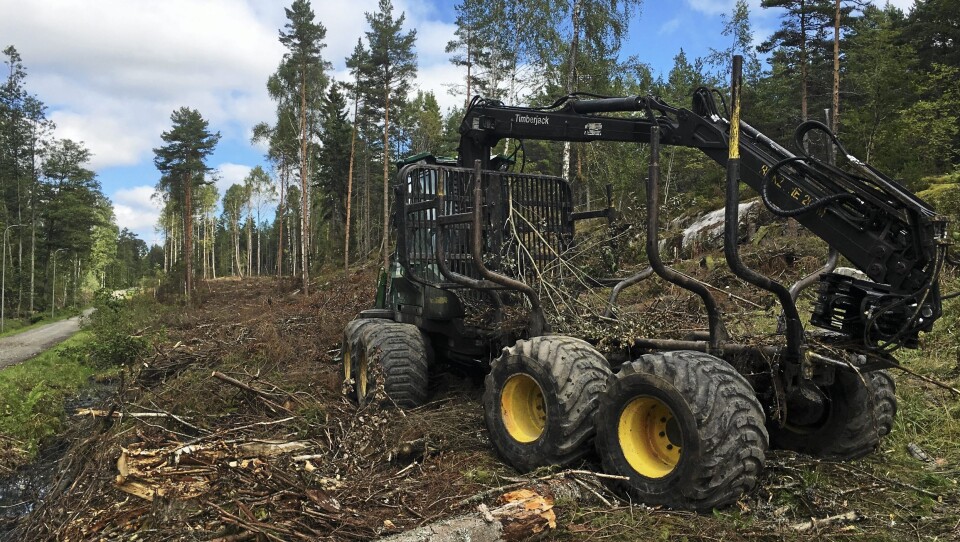 SLIK SER DET UT I DAG: Skogen er ikke akkurat et fruktfat etter skogsmaskinenes arbeide. Beklageligvis blir det liggende akkurat som det ligger i dag fremover også.