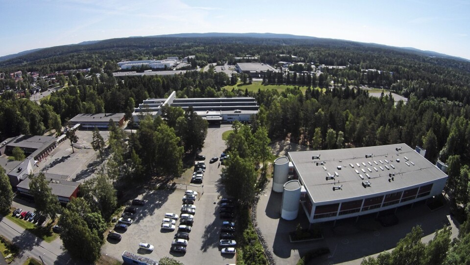 KAN BLI BYGGET HER: Sofiemyr kan få to nye skoler. KAN BLI BYGGET HER: Sofiemyr kan få to nye skoler.