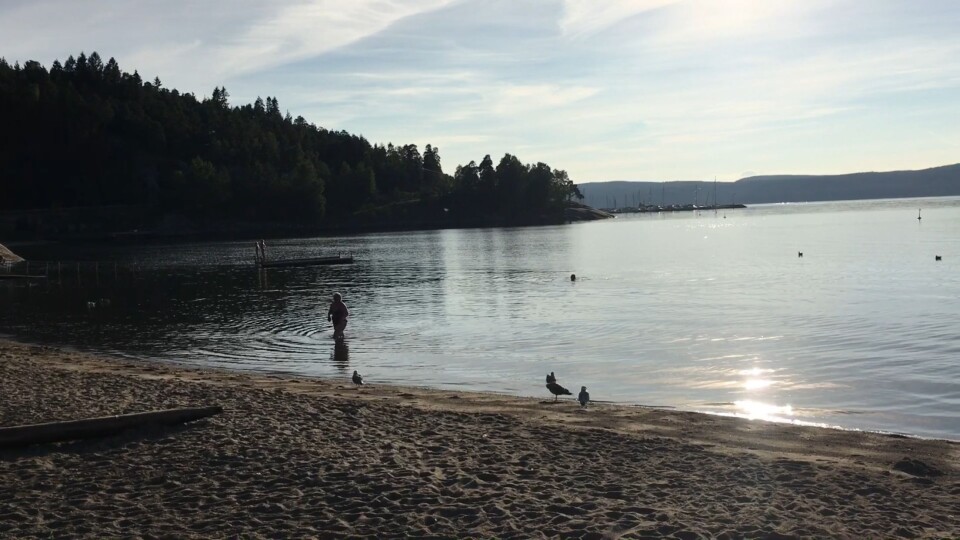KASTER SEG UT I IDYLLEN: Det er diggere enn på en vanlig sommerdag på ettermiddagstid i Hvervenbukta nå! KASTER SEG UT I IDYLLEN: Det er diggere enn på en vanlig sommerdag på ettermiddagstid i Hvervenbukta nå!