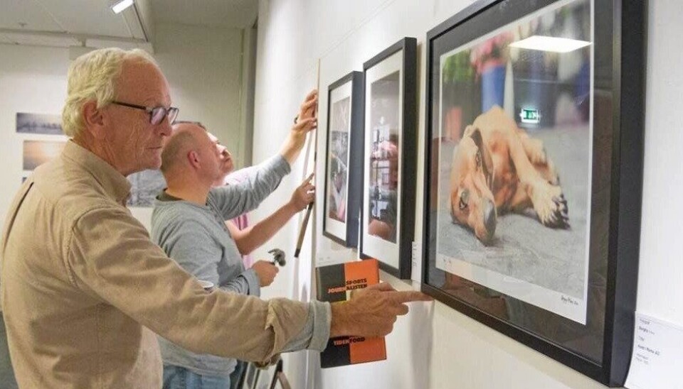 VISER FREM SINE ARBEIDER: Kolbotn Fotoklubb er klar med nok en utstilling. Bildet er fra en tidligere utstilling i biblioteksgalleriet. VISER FREM SINE ARBEIDER: Kolbotn Fotoklubb er klar med nok en utstilling. Bildet er fra en tidligere utstilling i biblioteksgalleriet.