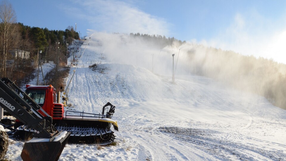 VIND FRA NORD: Snøen faller der den skal. Vinden kommer fra riktig retning. VIND FRA NORD: Snøen faller der den skal. Vinden kommer fra riktig retning.