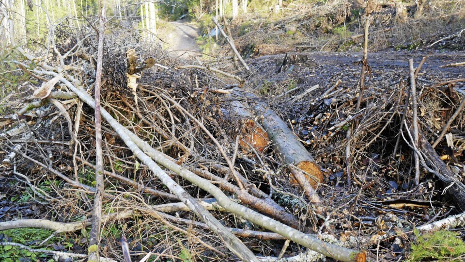 – OPPEGÅRD HAR ANSVAR: Oppegård kommune har ansvar for oppryddingen, ifølge Bymiljøetaten. – OPPEGÅRD HAR ANSVAR: Oppegård kommune har ansvar for oppryddingen, ifølge Bymiljøetaten.