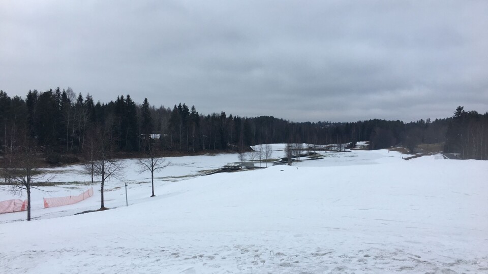 BEST FORHOLD: Det er her på Østre Greverud at det er best skispor akkurat nå. BEST FORHOLD: Det er her på Østre Greverud at det er best skispor akkurat nå.