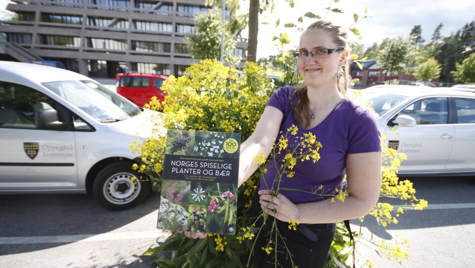 KORTREIST OG GRATIS: – Kokte blad av russekål er en utmerket grønnsak som passer godt i salater. Blomsterknoppen kan brukes rå eller kokt som brokkoli, sier Sofie Grøntvedt Railo. KORTREIST OG GRATIS: – Kokte blad av russekål er en utmerket grønnsak som passer godt i salater. Blomsterknoppen kan brukes rå eller kokt som brokkoli, sier Sofie Grøntvedt Railo.