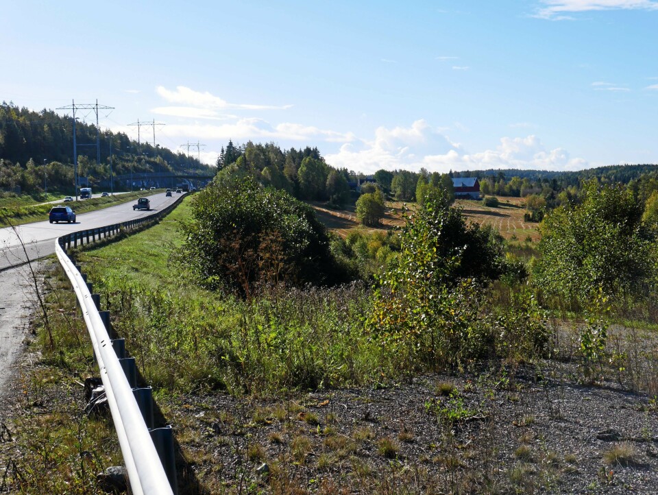 UTE PÅ PATRULJE: Politiet følger med i trafikken, og har i det siste beslaglagt mange fører kort ved Taraldrud på E6. UTE PÅ PATRULJE: Politiet følger med i trafikken, og har i det siste beslaglagt mange fører kort ved Taraldrud på E6.