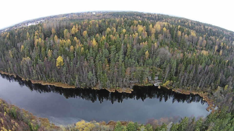 MOT TÅRNÅSEN OG HELLERASTEN: Her ser du utsikten fra Taraldrud mot de aktuelle områdene som innsender skriver om i dette innlegget. MOT TÅRNÅSEN OG HELLERASTEN: Her ser du utsikten fra Taraldrud mot de aktuelle områdene som innsender skriver om i dette innlegget.