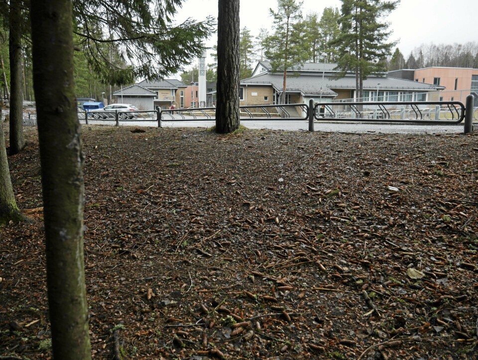 KOMMUNENS STØRSTE BARNESKOLE: Tårnåsen skole er kommunens største barneskole. KOMMUNENS STØRSTE BARNESKOLE: Tårnåsen skole er kommunens største barneskole.