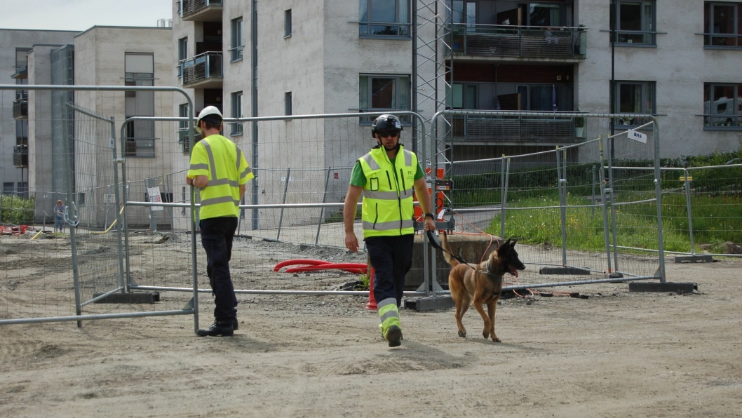 SØKER MED HUND: Her er hundene i aksjon på Greverud torg for å snuse opp sprengstoff som kan ha blitt liggende der fra tidligere prosjekter.
