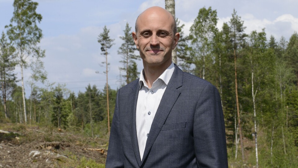 TAR IKKE ALT: Mye har blitt hogget ned på Trelasttomta, men prosjektsjef i JM Norge AS er opptatt av å bevare så mye naturlig terreng som mulig. TAR IKKE ALT: Mye har blitt hogget ned på Trelasttomta, men prosjektsjef i JM Norge AS er opptatt av å bevare så mye naturlig terreng som mulig.