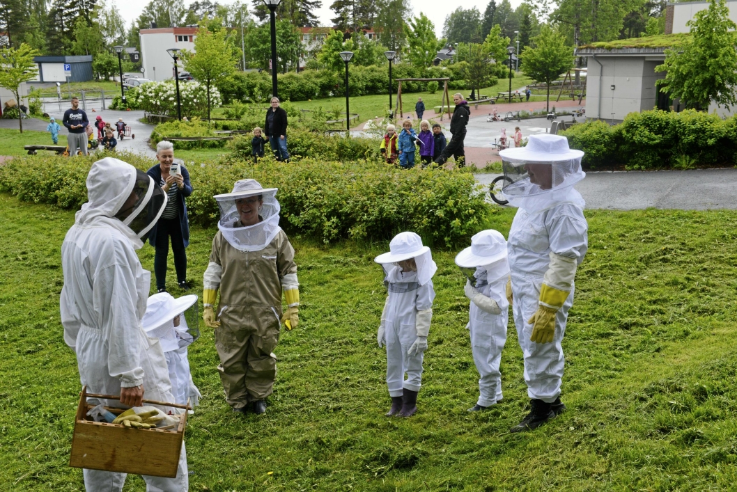 BIRØKTERE: Hareveien barmehage har fått bier og er klare til å produsere sin egen honning.
