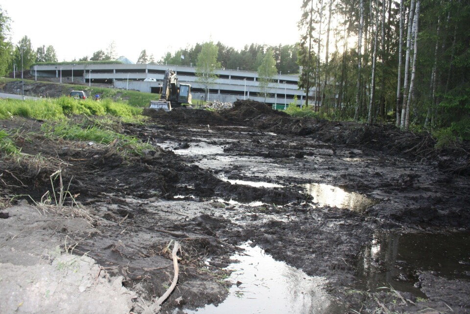 DET HAR SKJEDD MYE I ROSENHOLM-SUMPEN I DET SISTE: Dette ønsker innsender av dette innlegget å sette fokus på. DET HAR SKJEDD MYE I ROSENHOLM-SUMPEN I DET SISTE: Dette ønsker innsender av dette innlegget å sette fokus på.