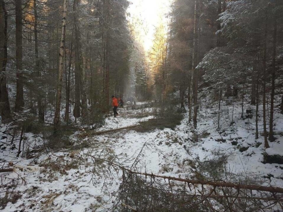 I FJOR: I fjor hadde snøen kommet så vidt da dignadsgjengen satte i gang sitt arbeide, men de fikk gjort utrolig mye!. I FJOR: I fjor hadde snøen kommet så vidt da dignadsgjengen satte i gang sitt arbeide, men de fikk gjort utrolig mye!.