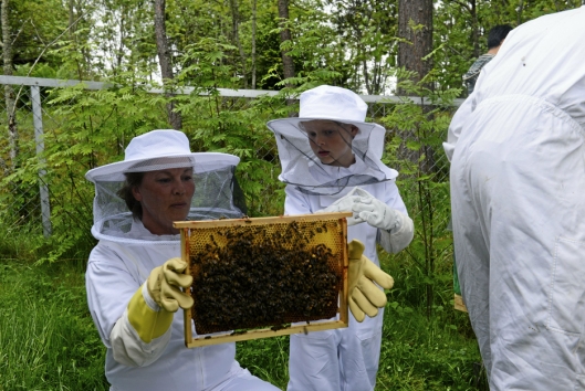 UNDER PRODUKSJONEN: Barna i Hareveien barmehage fikk tidligere i år bier, og har produsert sin egen salgsklare honning!