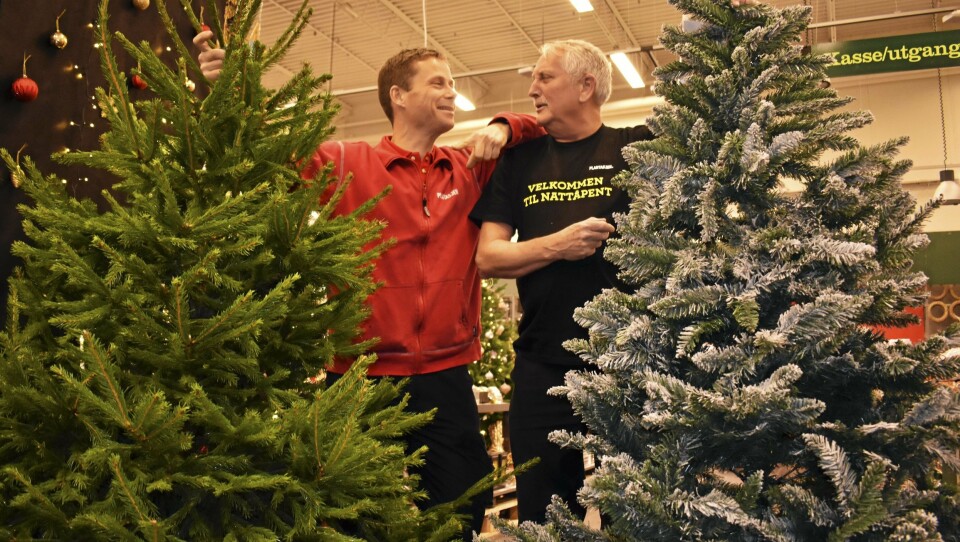 GNISTRENDE STEMNING: Ansvarlig gartner, Christoffer Ladstein (til venstre), og logistikkansvarlig Sten Hansen, konkurrerer mot hverandre i salget av juletrær. Mest på moro, sier de... Man ser nesten ikke forskjell på ekte og falskt juletre! Både Neset, Ladstein og Hansen jobbet sammen på Greverud da Plantasjen lå der, og har til sammen 46 års erfaring med juletresalg! GNISTRENDE STEMNING: Ansvarlig gartner, Christoffer Ladstein (til venstre), og logistikkansvarlig Sten Hansen, konkurrerer mot hverandre i salget av juletrær. Mest på moro, sier de... Man ser nesten ikke forskjell på ekte og falskt juletre! Både Neset, Ladstein og Hansen jobbet sammen på Greverud da Plantasjen lå der, og har til sammen 46 års erfaring med juletresalg!