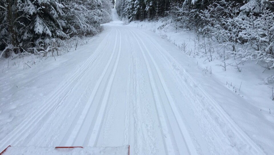 SJEKK DE TRIKKESKINNENE: Dette bildet er tatt mellom Kloppa og Taraldrud i dag av Skiforeningen. Sjekk forholdene! Nå er det en skikkelig drømmehelg i vente for deg som er glad i å stå på ski! SJEKK DE TRIKKESKINNENE: Dette bildet er tatt mellom Kloppa og Taraldrud i dag av Skiforeningen. Sjekk forholdene! Nå er det en skikkelig drømmehelg i vente for deg som er glad i å stå på ski!