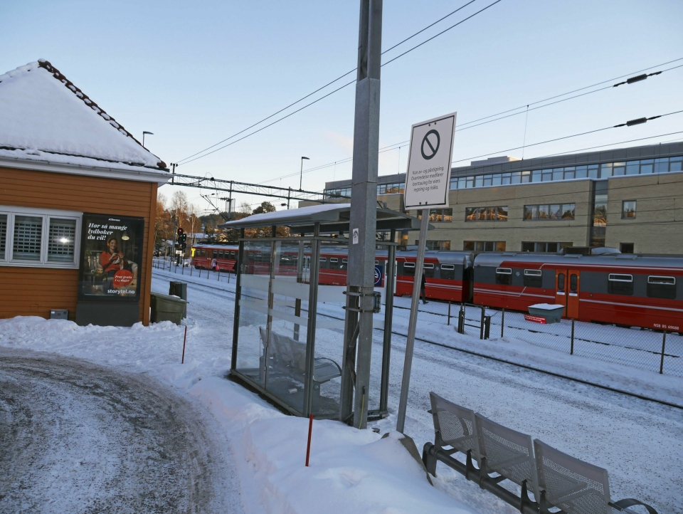 MANGE PROBLEMER: Denne vinteren har vært kronglete for pendlerne på Østfoldbanen, og en hodepine for NSB.