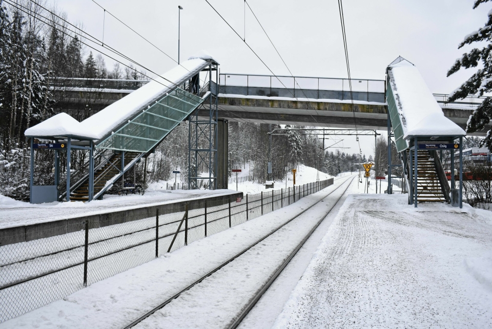 MANGE PROBLEMER: Denne vinteren har vært kronglete for pendlerne på Østfoldbanen, og en hodepine for NSB.