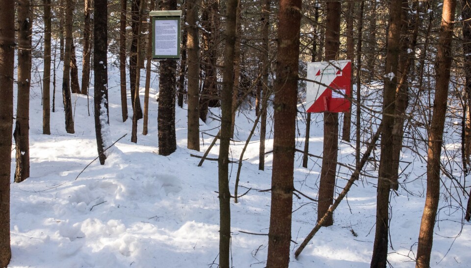 POST PÅ PLASS: Her ser du et bilde av en av postene som Skautraver'n-folket har hengt ut. Snøen skal ikke få stoppe turorinteringen og turgleden! POST PÅ PLASS: Her ser du et bilde av en av postene som Skautraver'n-folket har hengt ut. Snøen skal ikke få stoppe turorinteringen og turgleden!