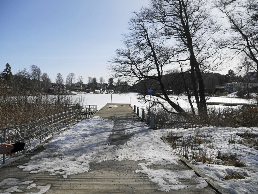 PÅ DISKUSJONSBORDET IGJEN: Algesituasujonen i Kolbotnvannet er igjen blitt aktualisert. PÅ DISKUSJONSBORDET IGJEN: Algesituasujonen i Kolbotnvannet er igjen blitt aktualisert.
