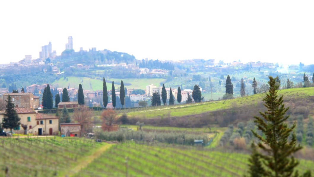 BELLA ITALIA: Nå kan du dra hit og gjøre deg forstått! Bildet er knipset på vei til den lille, sjarmerende landsbyen San Gimignano i Toscana. BELLA ITALIA: Nå kan du dra hit og gjøre deg forstått! Bildet er knipset på vei til den lille, sjarmerende landsbyen San Gimignano i Toscana.