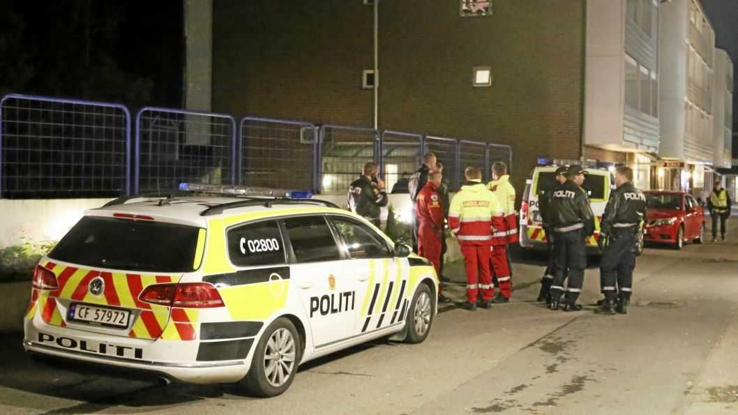 VILLE TILSTANDER PÅ HOLMLIA: To unge menn ble i fjor pågrepet og siktet for drapsforsøk etter at en 21 år gammel mann ble kritisk skadd i en skyteepisode på Holmlia i Oslo natt til lørdag.