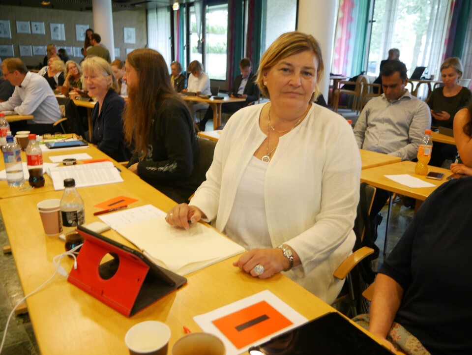 KRITISK: Merete Bellingmo (Ap). KRITISK: Merete Bellingmo (Ap).