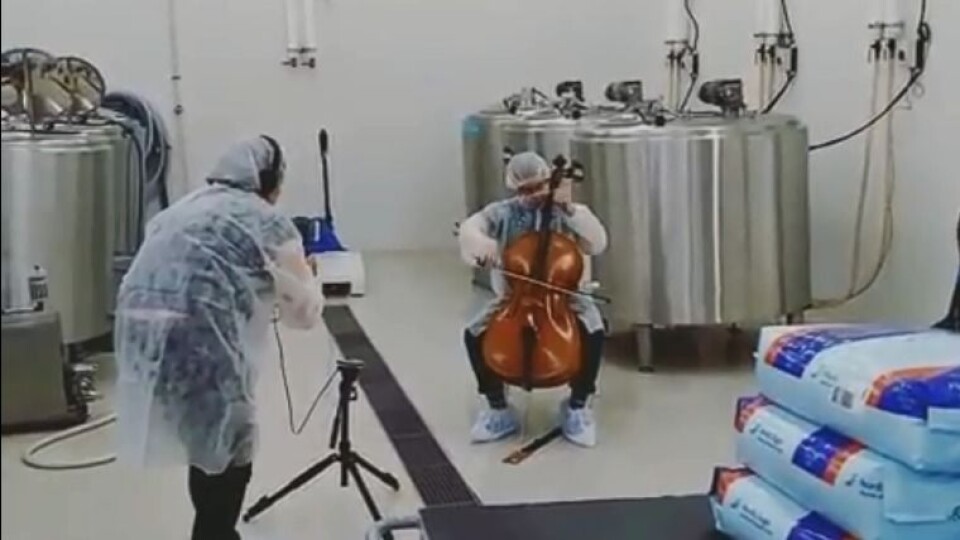 KVALITETSTID: Her får iskremen litt kvalitetstid med en cellist fra KORK. KVALITETSTID: Her får iskremen litt kvalitetstid med en cellist fra KORK.