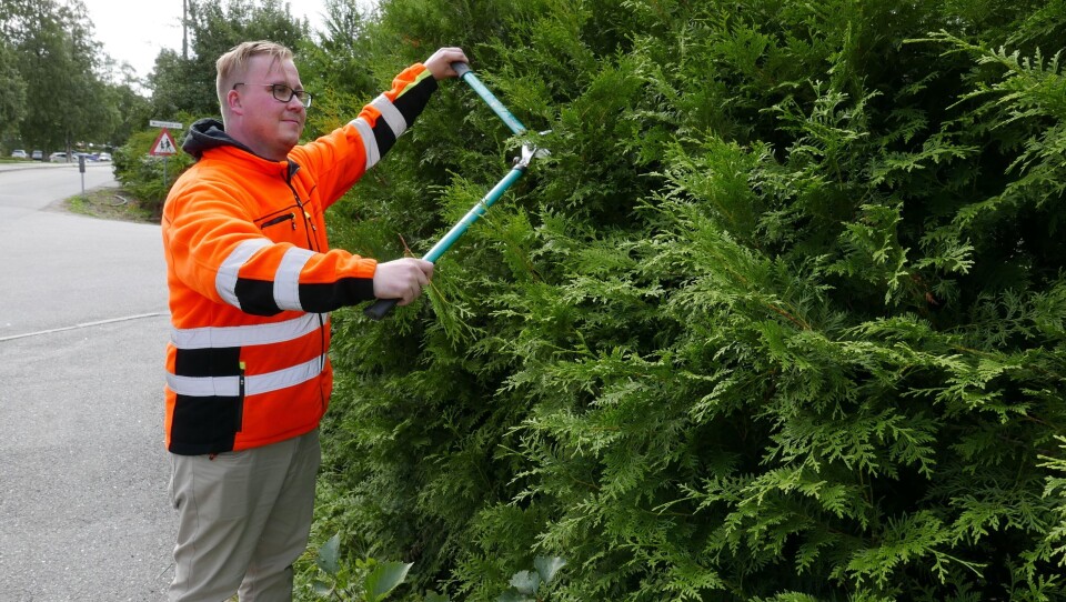 MAKS 50 CM HØY I VEIKRYSS OG SVINGER: – For å oppnå god sikt i veikryss og svinger er det viktig at hekken eller gjerdet ditt ikke er høyere enn 50 centimeter, sier Erik Strømstad fra UTE Oppegård. MAKS 50 CM HØY I VEIKRYSS OG SVINGER: – For å oppnå god sikt i veikryss og svinger er det viktig at hekken eller gjerdet ditt ikke er høyere enn 50 centimeter, sier Erik Strømstad fra UTE Oppegård.