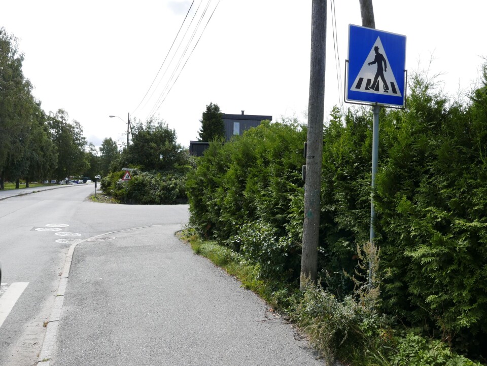 FOR HØY HEKK: Bak den høye hekken i Holbergs vei på Sofiemyr er det ikke lett å se skolebarn. Husk at hekken eller gjerdet i veikryss og svinger ikke bør være høyere enn 50 cm. FOR HØY HEKK: Bak den høye hekken i Holbergs vei på Sofiemyr er det ikke lett å se skolebarn. Husk at hekken eller gjerdet i veikryss og svinger ikke bør være høyere enn 50 cm.