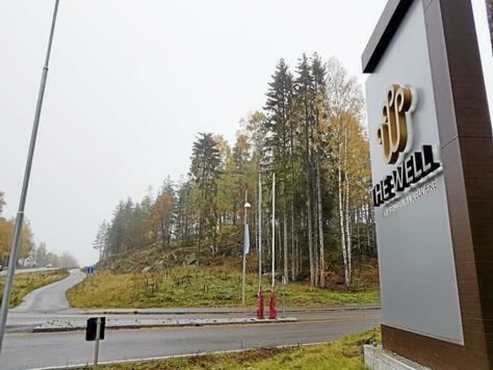 FYLLER TRE ÅR I DESEMBER: The Well åpnet dører i Kongeveien 65 i desember 2015. FYLLER TRE ÅR I DESEMBER: The Well åpnet dører i Kongeveien 65 i desember 2015.
