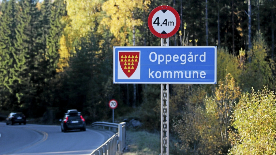 TEGN? Det første skiltet som du møter når du kommer med bil til kommunegrensen vår fra øst er et rødt kommunevåpen i Taraldrudveien.