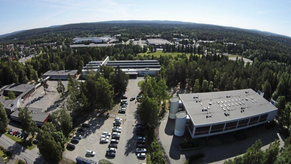 SKOLEKABALEN: Nåværende Sofiemyr barneskole (til venstre på bildet) skal rives og eiendommen skal selges for boligutvikling. Nåværende Fløysbonn ungdomsskole (til høyre på bildet) skal bli ny og større barneskole, men det er fortsatt usikkert om det gamle skolebygget skal rives eller rehabiliteres. SKOLEKABALEN: Nåværende Sofiemyr barneskole (til venstre på bildet) skal rives og eiendommen skal selges for boligutvikling. Nåværende Fløysbonn ungdomsskole (til høyre på bildet) skal bli ny og større barneskole, men det er fortsatt usikkert om det gamle skolebygget skal rives eller rehabiliteres.