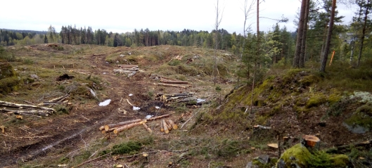Redd skogen – fra politikerne!