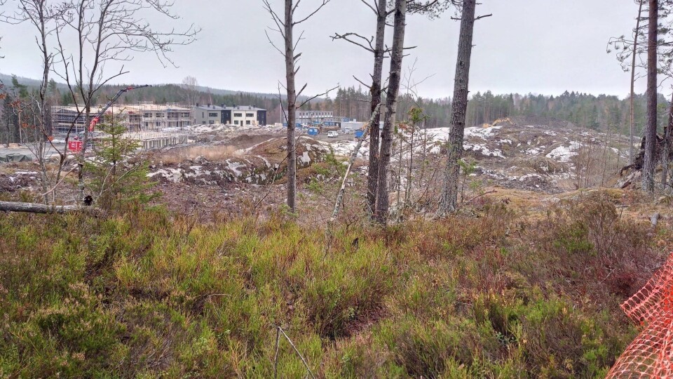 NOVEMBER 2018: Slik ser området ut nå. NOVEMBER 2018: Slik ser området ut nå.
