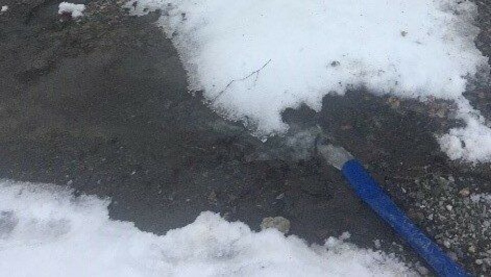 UTSLIPPENE TIL KOLBOTNVANNET: Betydelige mengder anleggsvann pumpes rett ut i våtmarksområdet ved Storebukta. Bildet ble tatt mandag 7. januar. UTSLIPPENE TIL KOLBOTNVANNET: Betydelige mengder anleggsvann pumpes rett ut i våtmarksområdet ved Storebukta. Bildet ble tatt mandag 7. januar.