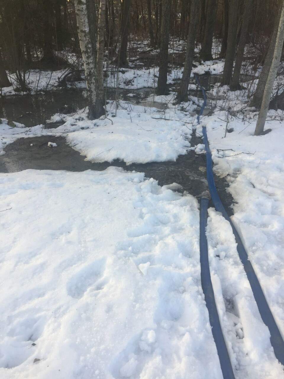 UTSLIPP TIL KOLBOTNVANNET: Bildet ble tatt onsdag 2. januar og viser at anleggsvannet fra anleggsplassen pumpes rett ut i våtmarksområdet ved Storebukta. Foto: Privat UTSLIPP TIL KOLBOTNVANNET: Bildet ble tatt onsdag 2. januar og viser at anleggsvannet fra anleggsplassen pumpes rett ut i våtmarksområdet ved Storebukta. Foto: Privat