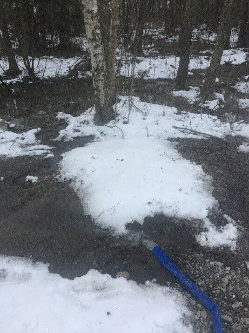 UTSLIPPET FORTSATTE: Store mengder anleggsvann pumpes fortsatt rett ut i våtmarksområdet ved Storebukta. Bildet ble tatt tirsdag 8. januar. Foto: Privat UTSLIPPET FORTSATTE: Store mengder anleggsvann pumpes fortsatt rett ut i våtmarksområdet ved Storebukta. Bildet ble tatt tirsdag 8. januar. Foto: Privat