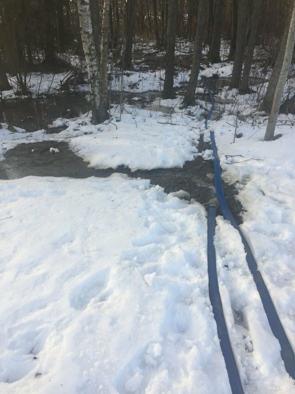 UTSLIPP TIL KOLBOTNVANNET: Bildet ble tatt onsdag 2. januar og viser at anleggsvannet fra anleggsplassen pumpes rett ut i våtmarksområdet ved Storebukta. UTSLIPP TIL KOLBOTNVANNET: Bildet ble tatt onsdag 2. januar og viser at anleggsvannet fra anleggsplassen pumpes rett ut i våtmarksområdet ved Storebukta.