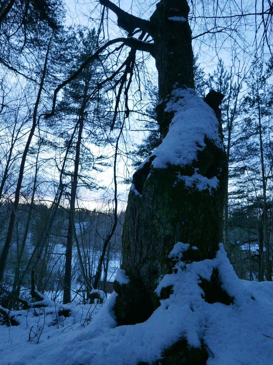 – Skammelig!