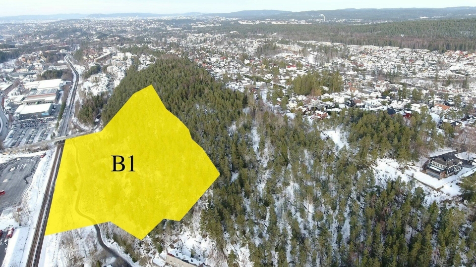 DENNE SKOGEN KAN BLI SOLGT: Det gule feltet viser det aktuelle området som kommunen vil selge til boligutbyggerne, slik at det kan bygges ut en sammenhengende bebyggelse fra Oslo-grensen til Holteveien.