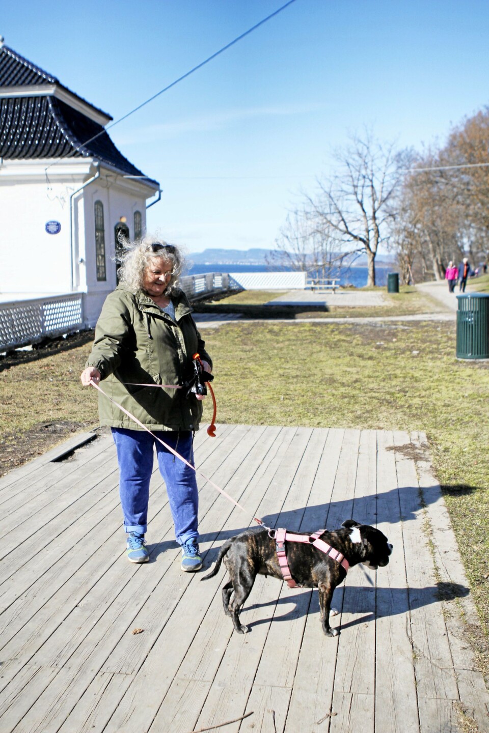 TURKAMERATER: Mette Kosstad og hunden «Lille» er ivrige brukere av turområdet i Hvervenbukta. Etter 1. juni frykter Kosstad at hun må finne et nytt område, uten bom. TURKAMERATER: Mette Kosstad og hunden «Lille» er ivrige brukere av turområdet i Hvervenbukta. Etter 1. juni frykter Kosstad at hun må finne et nytt område, uten bom.