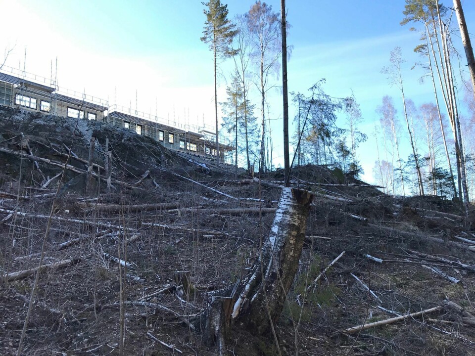 SKOGSÅSEN: Nye boliger spiser trær, sett fra Lille Kolbotnvann. SKOGSÅSEN: Nye boliger spiser trær, sett fra Lille Kolbotnvann.