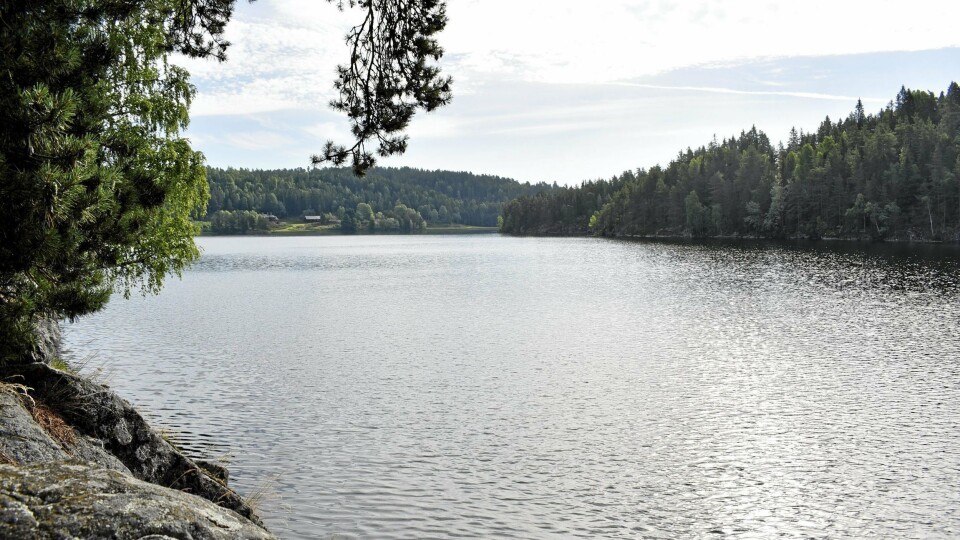 DRIKKEVANNSKILDEN: Gjersjøen er drikkevannskilde for Oppegård og Ås kommuner. Innsjøen får tilrenning fra Kolbotnvannet via Kantorbekken i nordøst, og langs E 18 fra sør kommer Vassflobekken. I sørøst kommer Dalsbekken fra Nærevannet via Midsjøvannet og Rullestadtjernet, samt Tussebekken fra Tussetjern og flere småtjern i Sørmarka. Dessuten kommer Greverudbekken fra småtjern langs kommunegrensa mot Ski. Gjersjøen har avrenning til Bunnefjorden gjennom Gjersjøelva som munner ut like sør for Hvervenbukta. DRIKKEVANNSKILDEN: Gjersjøen er drikkevannskilde for Oppegård og Ås kommuner. Innsjøen får tilrenning fra Kolbotnvannet via Kantorbekken i nordøst, og langs E 18 fra sør kommer Vassflobekken. I sørøst kommer Dalsbekken fra Nærevannet via Midsjøvannet og Rullestadtjernet, samt Tussebekken fra Tussetjern og flere småtjern i Sørmarka. Dessuten kommer Greverudbekken fra småtjern langs kommunegrensa mot Ski. Gjersjøen har avrenning til Bunnefjorden gjennom Gjersjøelva som munner ut like sør for Hvervenbukta.