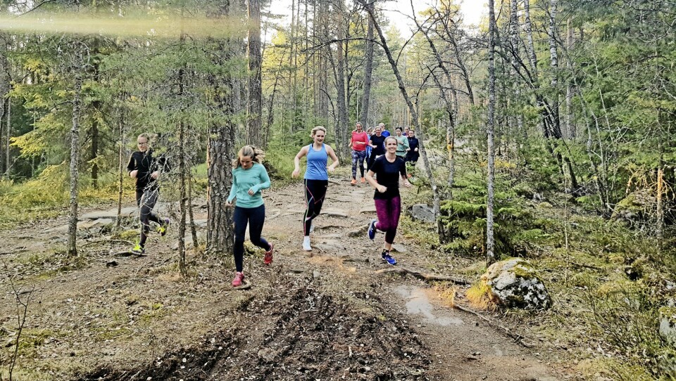 LØPSFEST: Grønliåsen rundt er en flott mulighet for hele familien å komme seg ut i skog og mark. LØPSFEST: Grønliåsen rundt er en flott mulighet for hele familien å komme seg ut i skog og mark.