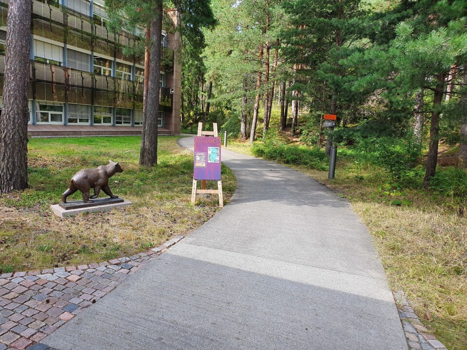 SKAL FORVANDLES TIL KUNSTSTI: Stien, som starter til høyre for inngangen til Rosenholm Campus og fører til kunstKALL, skal dekoreres med kunst laget av barn og kunstnerne. SKAL FORVANDLES TIL KUNSTSTI: Stien, som starter til høyre for inngangen til Rosenholm Campus og fører til kunstKALL, skal dekoreres med kunst laget av barn og kunstnerne.