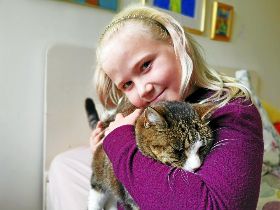 GODE VENNER: Pauline ga Lucia navnet Lucy før hun fikk vite hva den voksne katten egentlig het. GODE VENNER: Pauline ga Lucia navnet Lucy før hun fikk vite hva den voksne katten egentlig het.